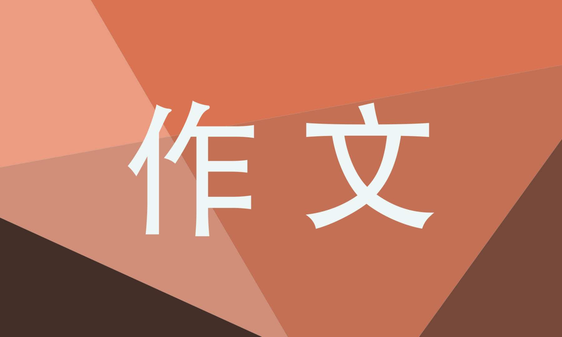 冬残奥会一起向未来感悟作文